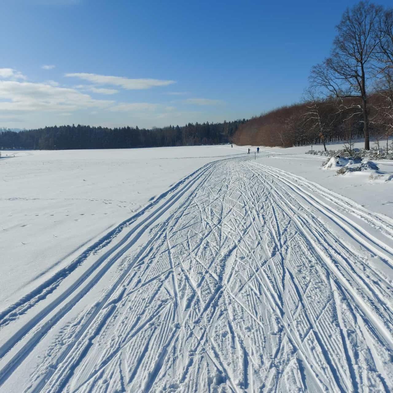 Landhotel Waldschloesschen Mit Gaststube Sohland an der Spree Exteriér fotografie