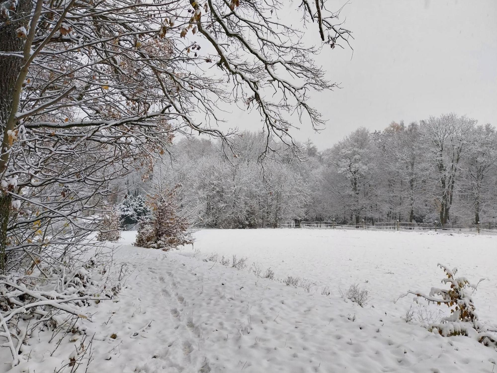 Landhotel Waldschloesschen Mit Gaststube Sohland an der Spree Exteriér fotografie