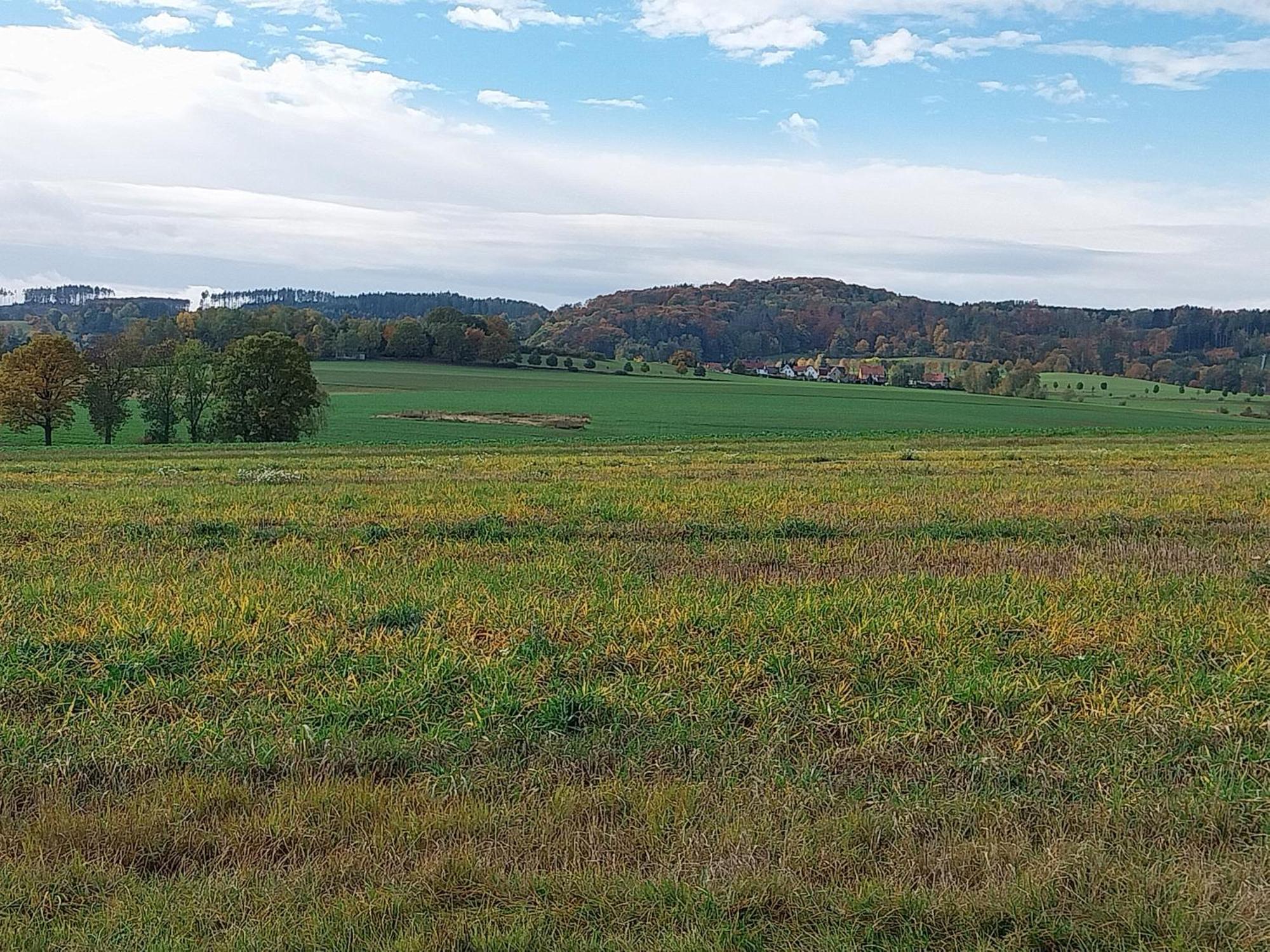 Landhotel Waldschloesschen Mit Gaststube Sohland an der Spree Exteriér fotografie