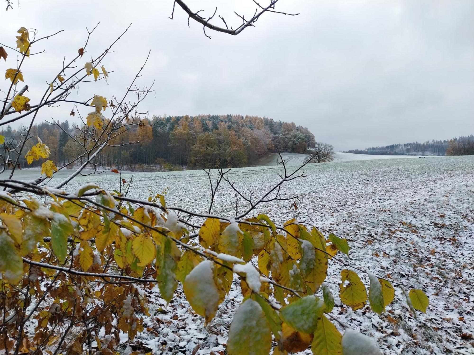 Landhotel Waldschloesschen Mit Gaststube Sohland an der Spree Exteriér fotografie