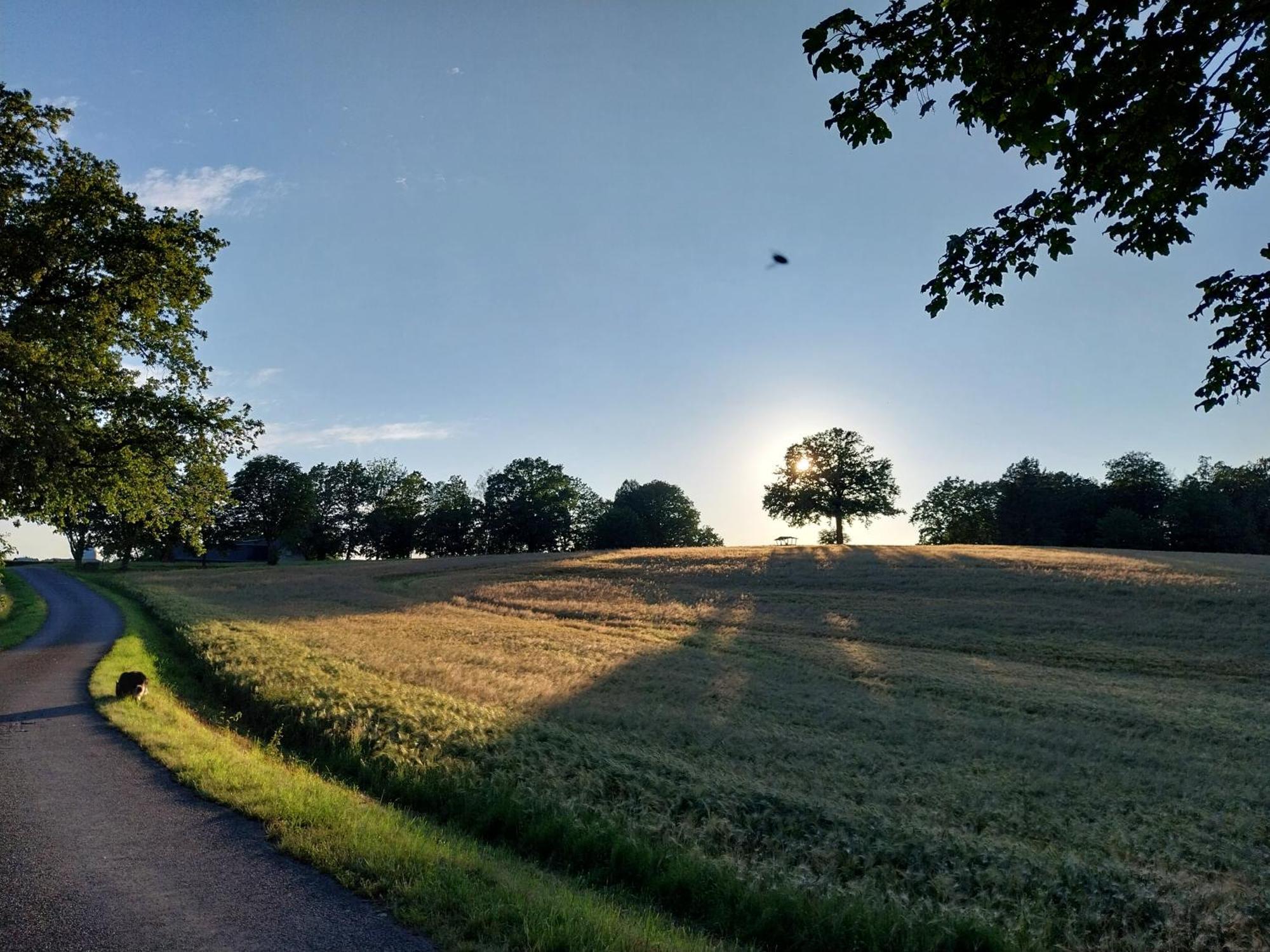 Landhotel Waldschloesschen Mit Gaststube Sohland an der Spree Exteriér fotografie